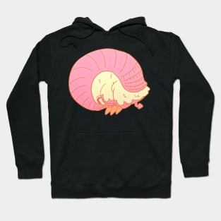 Pink Fairy Armadillo solo 2 Hoodie